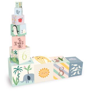 Cubes Gigognes Vilac 10 Pièces Multicolor Bois