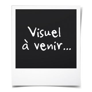 Ventilateur Pour Boitier - Arctic - F12 (noir/noir) (acfan00201a)
