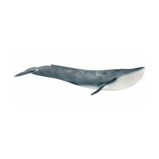 Figurine Baleine Bleue, Jouet Détaillé, 14806 Wild Life, Des 5 Ans