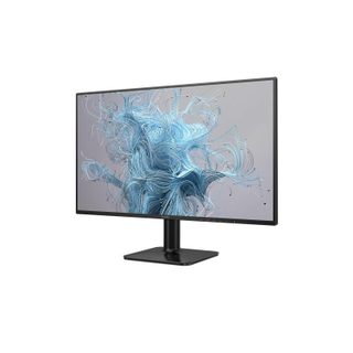 Écran Pc Philips 1000 Série 24e2n1110/00 23,8” Full Hd Noir 120 Hz
