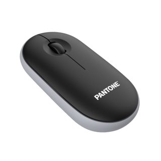Pantone Pt-ms001bk Souris Bureau Droitier 1200 Dpi