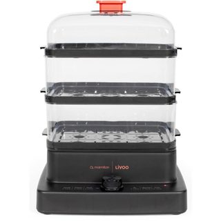 Cuiseur Vapeur Livoo Doc300