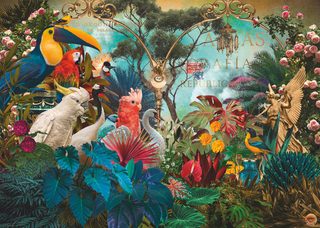 Heye Puzzle Birdiversity 1000 Pièces Plaisir Coloré Garanti