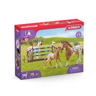 Entraînement au concours de Lisa - Horse club - 42433 SCHLEICH