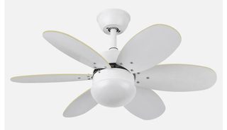 Fabrilamp 175791601 Ventilateur Hêtre, Blanc