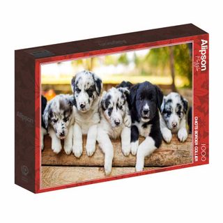 Puzzle 1000 Pièces Photographique Carton Blanc Noir Bois 69 X 47,8 Cm Alipson