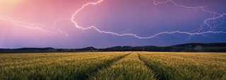 Ravensburger Puzzle Nature Edition - Orage D'été - 500 Pièces