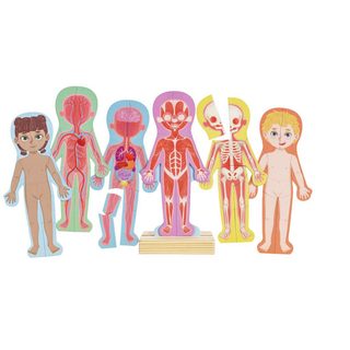 Puzzle Magnétique Hape 24 Pièces Multicolor Autres