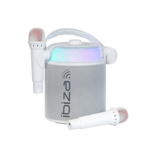 Ibiza Lecteur Karaoké Portable 2 Micros