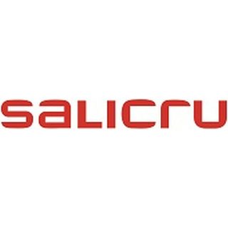 Salicru Internal Snmp Card