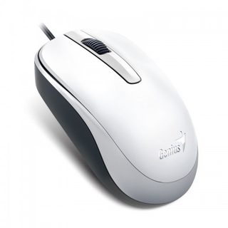Genius Computer Technology Dx-120 Souris Bureau Ambidextre Usb Type-a Optique 1000 Dpi