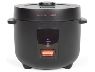 Cuiseur Riz Doc299