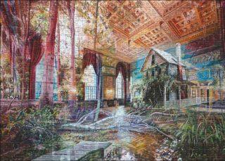 Heye Puzzle Intruding House 1000 Pièces Puzzle Multicolore