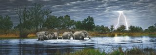 Heye Puzzle Herd Elephants 2000 Pan