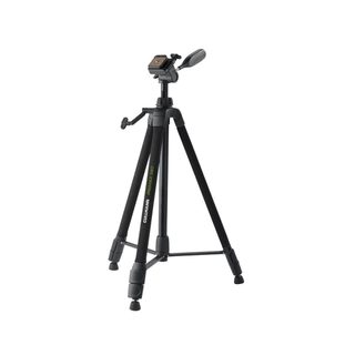 Pied Cullmann C 51381