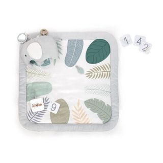 Ingenuity Tapis d'éveil Sprout Spot - Evolutif - 12 cartes évolutives - 7.62 x 102 x 102 cm - Multicolore - Des la naissance