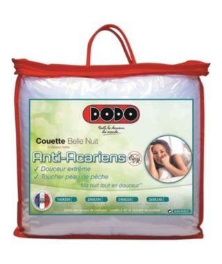 DODO Couette temperee 350gr/m2 BELLE NUIT 200x200cm