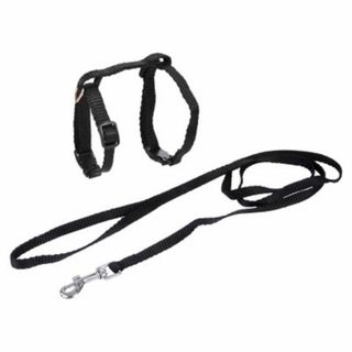 Harnais & Laisse pour Chat "Kit" 120cm Noir