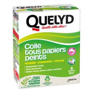 Colle en poudre - adaptée pour tout papiers peints - surface de couverture 32 m² - Quelyd 30601377