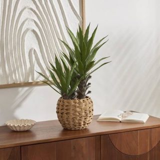 Agave artificiel Moda H.61cm vert - Atmosphera Créateur d'intérieur