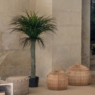 Yucca artificiel "Tropiques" H150cm - Atmosphera Créateur d'intérieur