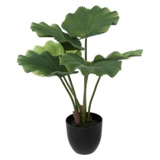 Palmier artificiel pot ciment H65cm - Atmosphera Créateur d'intérieur