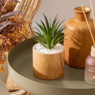 Plante artificielle "Sao" marron H17cm - Atmosphera Créateur d'intérieur