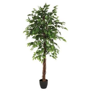 Ficus artificiel "Benjamina" vert H180cm - Atmosphera Créateur d'intérieur
