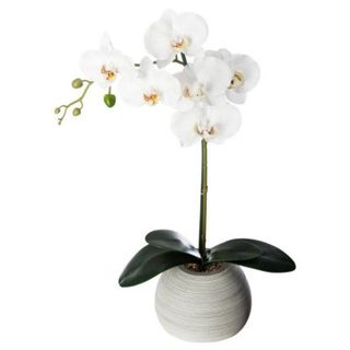 Orchidée artificielle pot ciment H53cm - Atmosphera Créateur d'intérieur
