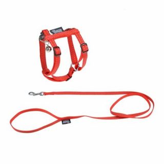 Harnais & Laisse pour Chat "Réfléchissant" 120cm Rouge