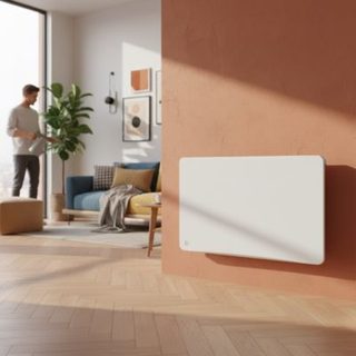 Radiateur électrique fixe à inertie sèche céramique avec thermostat interchangeable 1500W BESTHERM OVEO horizontal blanc