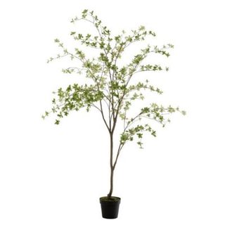 Plante Artificielle "Fines Feuilles" 190cm Vert & Noir