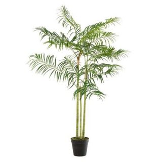 Plante Artificielle "Palmier Bambou" 170cm Vert