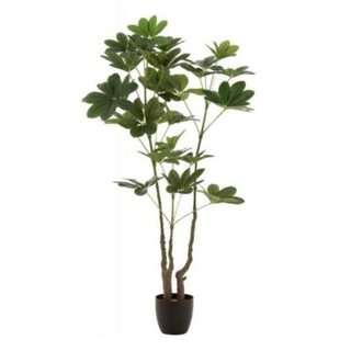 Plante Artificielle en Pot "Pachira" 157cm Vert