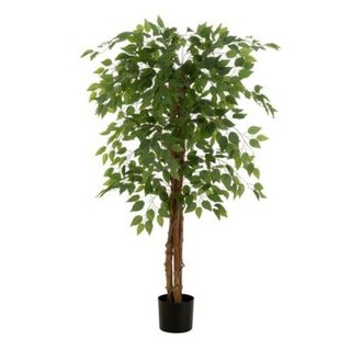 Plante Artificielle en Pot "Ficus" 150cm Vert