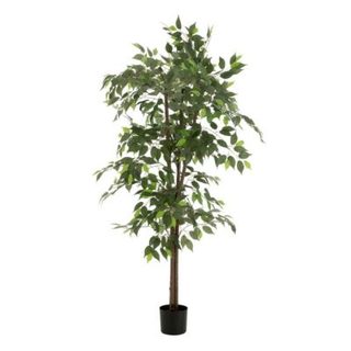 Plante Artificielle en Pot "Ficus" 180cm Vert