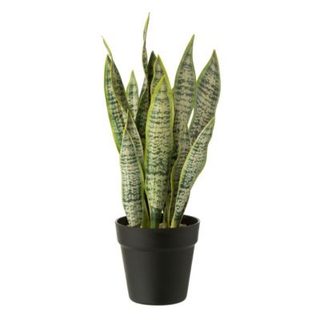Plante Artificielle en Pot "Dracaena Trifasciata" 47cm Vert