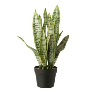 Plante Artificielle en Pot "Dracaena Trifasciata" 55cm Vert