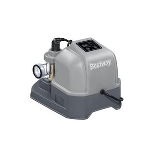 Bestway Électrolyseur d'eau salée 6 g/h Hydrogenic