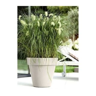 ELHO GIVE Room TO Nature - Pot et Jardinière L50cm H10cm