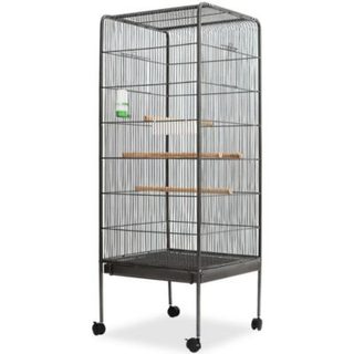 Cage à oiseaux Noir 54 x 54 x 146 cm Acier vidaXL