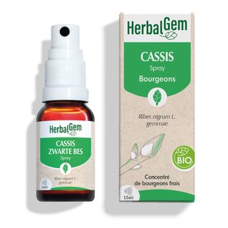 HERBALGEM - Macérât-Mère - Cassis Bio - Complément Alimentaire Gemmothérapie Concentrée - Extrait De Bourgeon Frais - Pour Articulations, Muscles - V