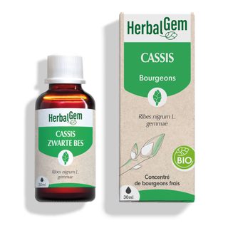 HERBALGEM - Macérât-Mère - Cassis Bio - Complément Alimentaire Gemmothérapie Concentrée - Extrait De Bourgeon Frais - Pour Articulations, Muscles - V