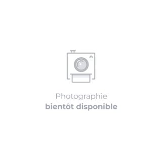 Magimix Disque râpe parmesan pour robot