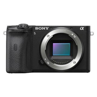 Sony a6600