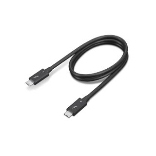 Lenovo Câble Thunderbolt - 0,7 m - Noir