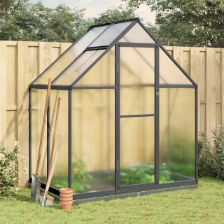 Vidaxl Serre avec cadre de base anthracite 169x114x202 cm aluminium