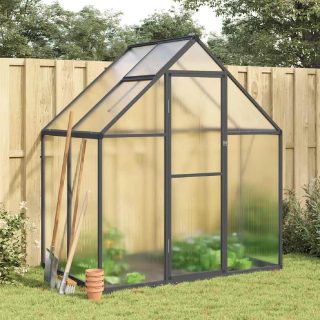 Vidaxl Serre avec cadre de base anthracite 169x114x195 cm aluminium