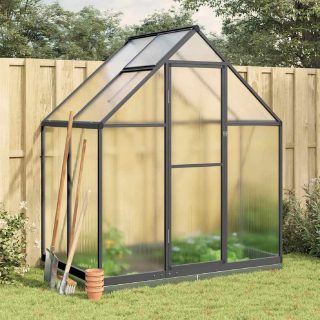 Vidaxl Serre avec cadre de base anthracite 169x114x202 cm aluminium