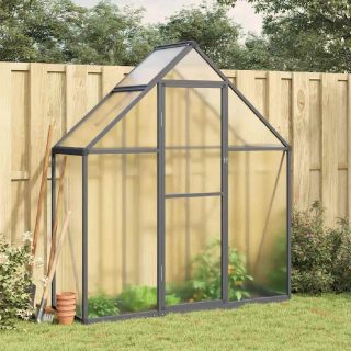 Vidaxl Serre avec cadre de base anthracite 169x58x195 cm aluminium